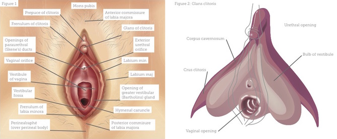 Treating Sexual Dysfunction With Prp Aesthetics