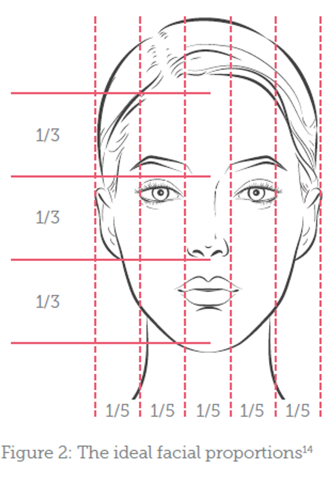 Assessing the Ageing Nose - Aesthetics