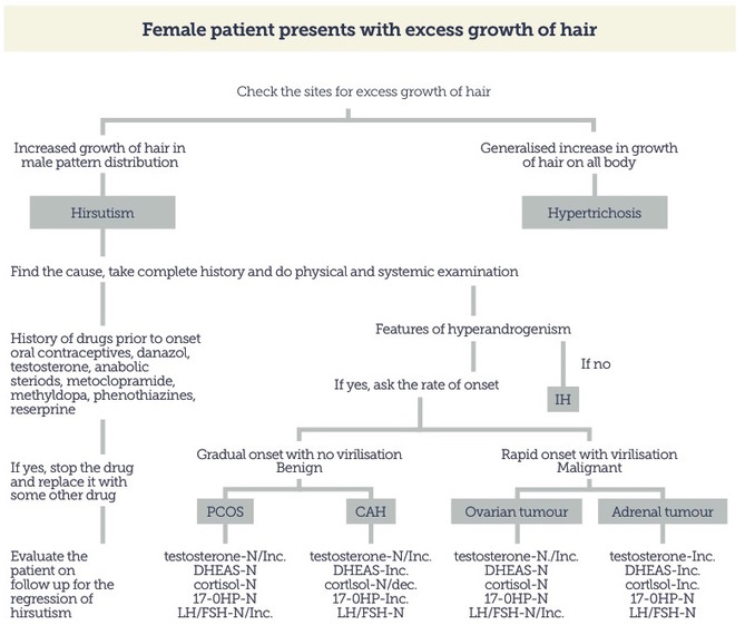 Hirsutism Scale Scoring System