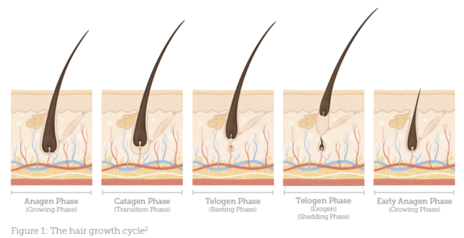 Topicals For Hair Loss Aesthetics